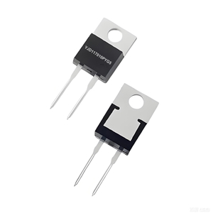 High-Frequency 1700V 19A Silicon Carbide Schottky Diode to-220AC Yjd117010pyg5